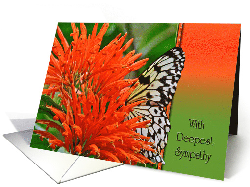 Loss of Mother Sympathy, butterfly in orange Mexican Honeysuckle card