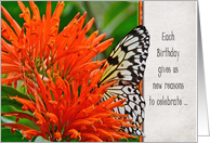 Birthday-butterfly in Mexican Honeysuckle card
