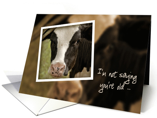 Dad's birthday humor-Holstein cow card (1069643)