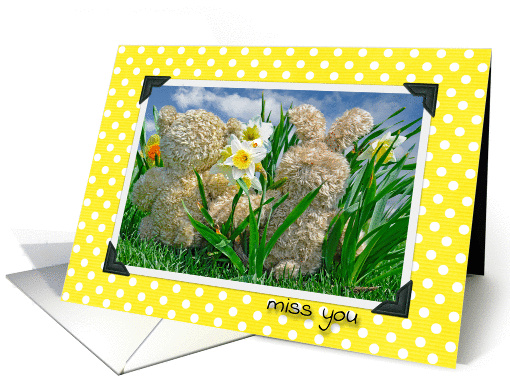 Miss You -Teddy bear and bunny in daffodil garden card (1081262)