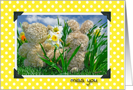Miss You -Teddy bear and bunny in daffodil garden card