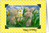 Happy Birthday -Teddy bear and bunny in daffodil garden card