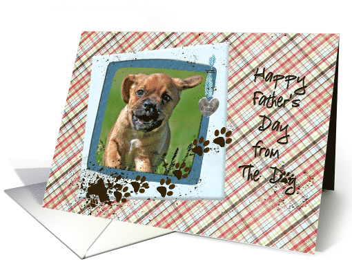 Father's Day from the Dog, muddy paw prints photo card... (1091736)