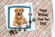 Happy Birthday from the Dog, muddy paw prints photo card