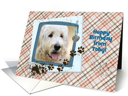 Happy Birthday from the Dog with muddy paw prints photo card (1092354)