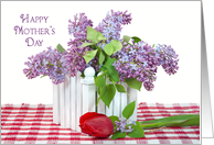Mother's Day lilac...