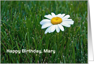 Custom name for Birthday-daisy in grass card