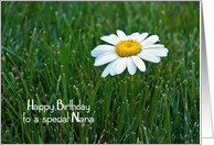 Nana’s Birthday-daisy in grass card