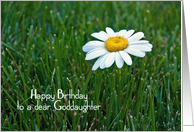 Goddaughter’s Birthday-daisy in grass card