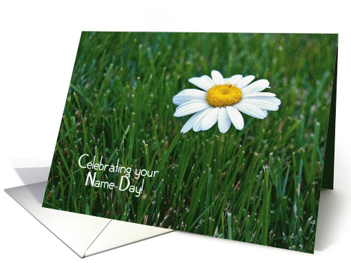 Wife's Name Day close up of a single white daisy in grass card