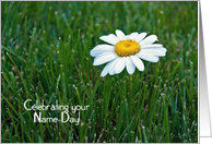 Wife’s Name Day close up of a single white daisy in grass card