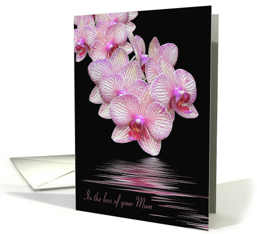 Loss of Mum sympathy orchids with water reflection on black card