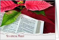 Priest’s Christmas, open Holy Bible with poinsettia and red tulle card