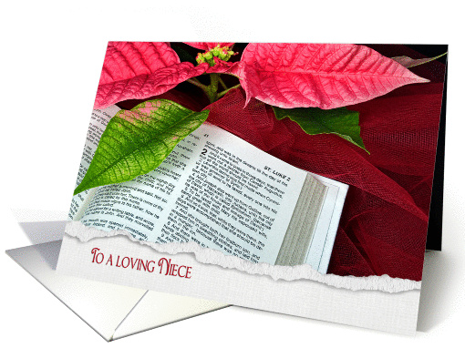 Niece's Christmas-open Holy Bible with poinsettia and red tulle card
