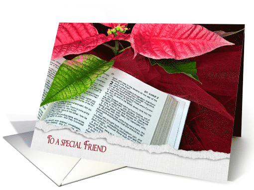 Friend's Christmas Holy Bible with poinsettia and red tulle card