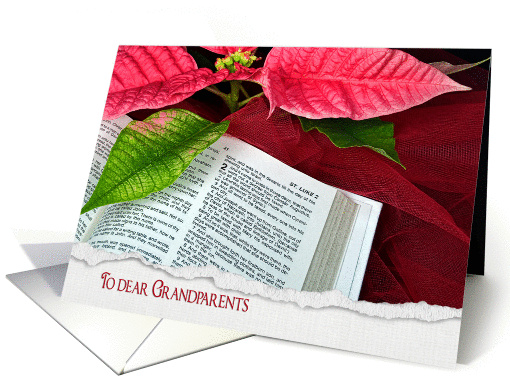 Grandparent's Christmas-Holy Bible with poinsettia and red tulle card