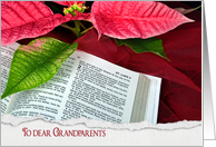 Grandparent’s Christmas-Holy Bible with poinsettia and red tulle card