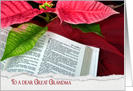 Great Grandma’s Christmas-Holy Bible with poinsettia and red tulle card