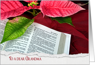 Grandma’s Christmas-Holy Bible with poinsettia and red tulle card