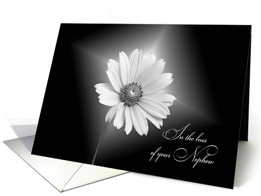 Loss of nephew sympathy-white daisy illuminated on black card