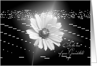 Loss of grandchild sympathy-white daisy illuminated on black card