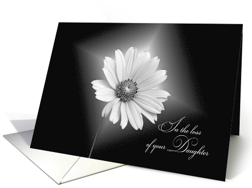 Loss of daughter sympathy, white daisy illuminated on black card