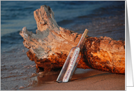 Season’ Greetings message in a bottle with driftwood on a beach card
