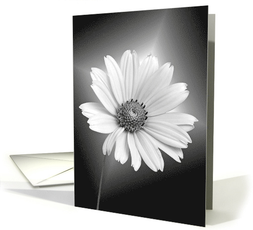Loss of Mother sympathy, white daisy on gradient background card
