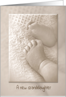 New Granddaughter congratulations with baby feet in sepia tone card