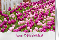 Pink Dutch Tulip Garden with Fence for 105th Birthday card