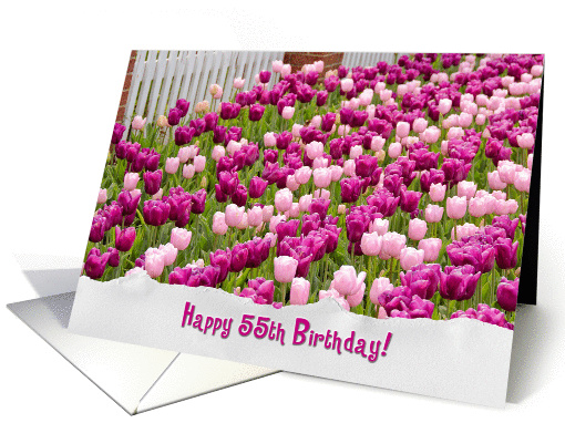 55th Birthday-pink Dutch tulips with fence and torn paper border card
