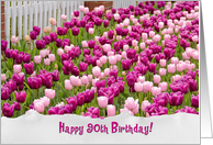 90th Birthday, pink Dutch tulips with fence and torn paper border card