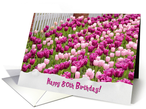 80th Birthday pink Dutch tulips with fence and torn paper border card