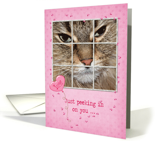 Valentine cat peeking in window with hearts and pink balloon card