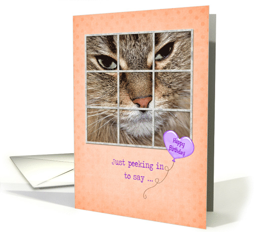 Birthday cat peeking in window with heart balloon on polka dots card