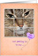 Birthday cat peeking in window with heart balloon on polka dots card