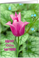 100th Birthday bright pink tulip with hostas background card