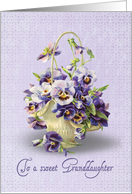 Granddaughter’s Birthday-pansy basket on eyelet background card