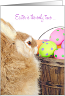 Easter bunny with polka dot eggs in old bushel basket card