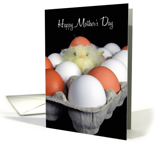 Mother's Day, baby chick in egg carton with eggshell cap card