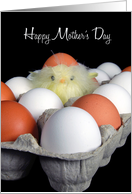 Mother’s Day, baby chick in egg carton with eggshell cap card