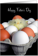 Father’s Day, baby chick in egg carton with eggshell cap card