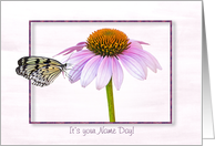 Name Day butterfly on a cone flower with shadowed frame card