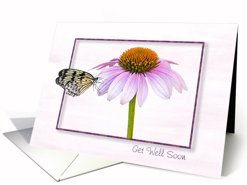 Get Well Soon-butterfly on a cone flower with shadowed frame card