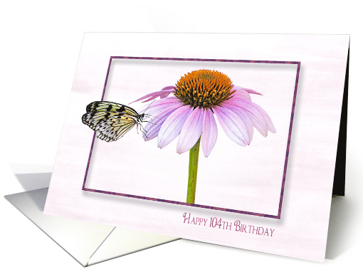 104th Birthday, butterfly on a cone flower with shadowed frame card
