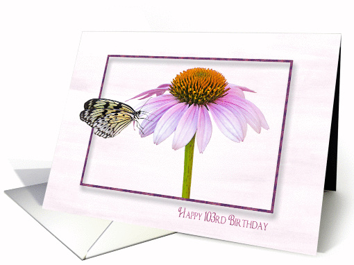 103rd Birthday-butterfly on a cone flower with shadowed frame card