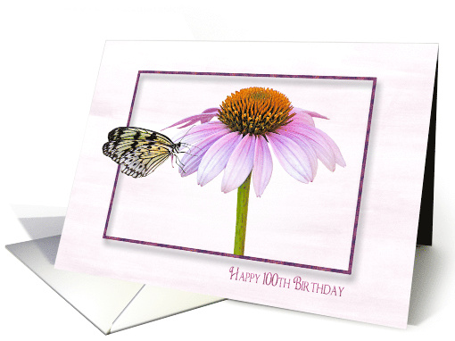 100th Birthday butterfly on a cone flower with shadowed frame card