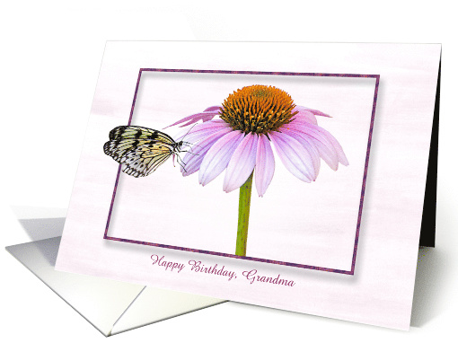 Birthday with customized name-butterfly on a cone flower card