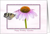 Birthday with customized name-butterfly on a cone flower card