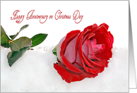 Anniversary on Christmas Day red rose in snow card